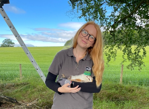 Katy Bell holding barn owl chick during ringing