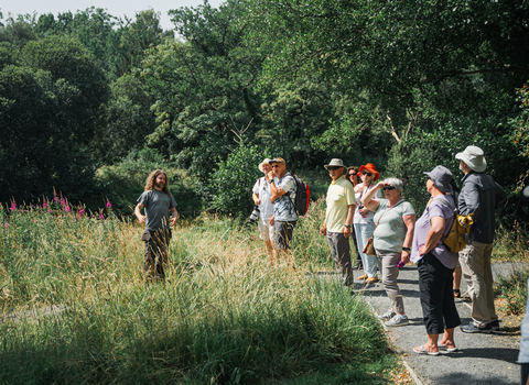 Guided walk for Ulster Wildlife members around Balloo Woodland in summer