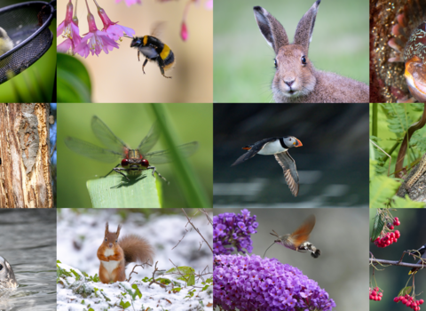 Calendar 2026 images