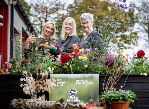 FieldDay x Ulster Wildlife 