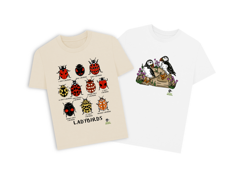 Oat ladybirds t-shirt and white puffins t-shirt on a white background