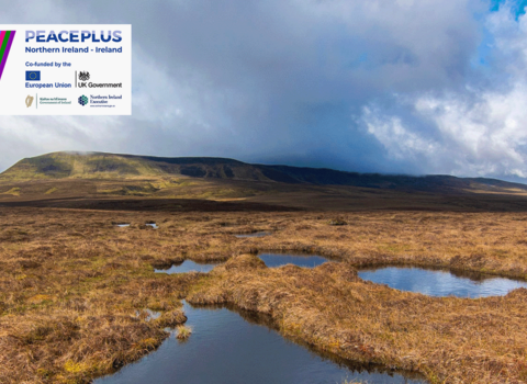 Peatland with PEAT+ and PEACEPLUS logos displayed