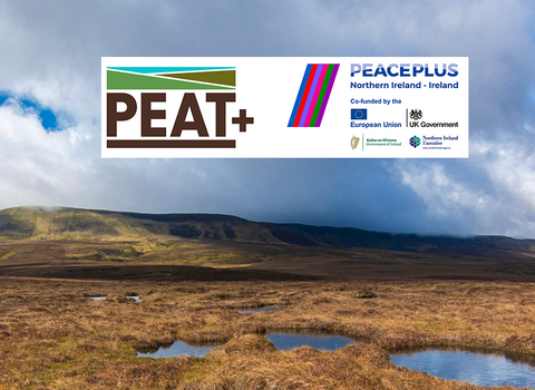 Peatland with PEAT+ and PEACEPLUS logos displayed
