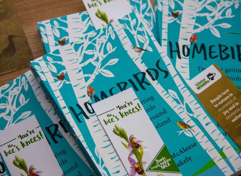 Zoomed in image of front cover of Homebirds and Ulster Wildlife bookmarks strewn throughout