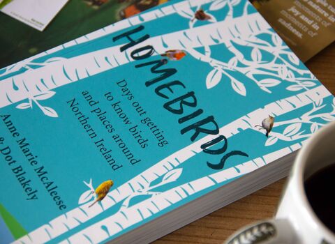 Close up image of Homebirds front cover image