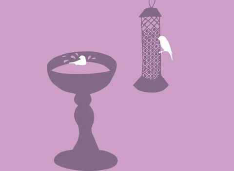 Bird feeder illustration 